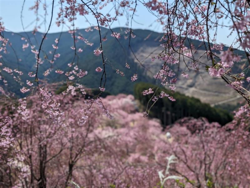 aede56cb-abaa-4344-9814-dccebcb8ab46