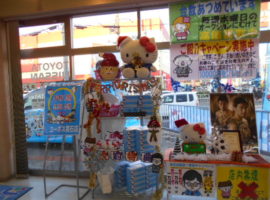 DSCN8264