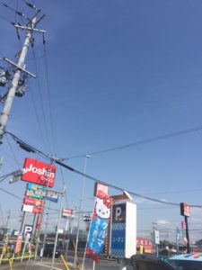 IMG_8439