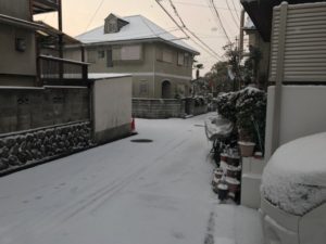 IMG_0498