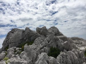 IMG_1510