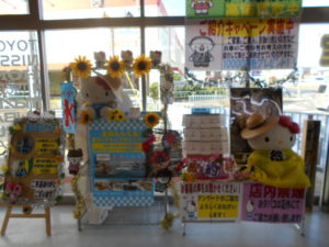 DSCN3334