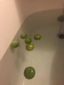 IMG_2736