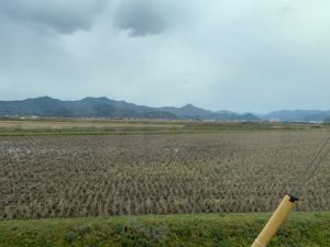 IMG_3360