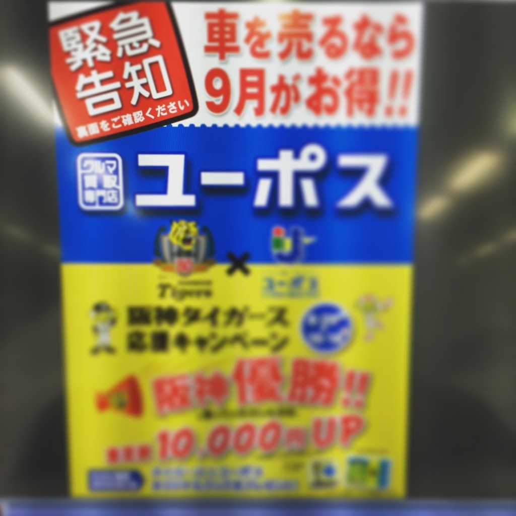 キャンペーン