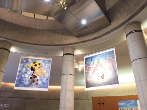 IMG_8563