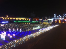 IMG_6630