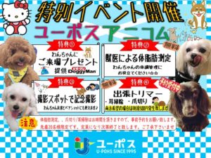 ペットイベント