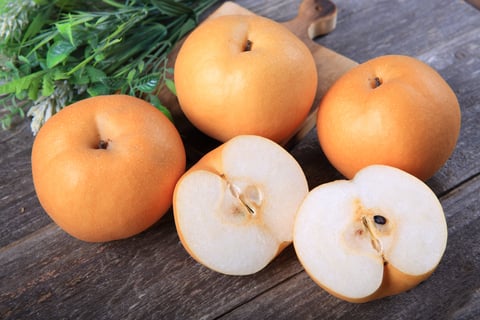 shutterstock_1188195673-thumb_480[1]